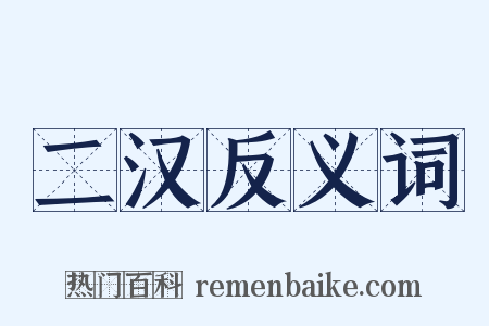 二汉反义词是什么意思的图片